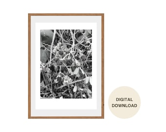 Brombeeren Fotografie Wand Kunst Digital Download