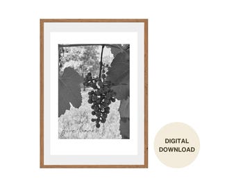 Trauben Foto mit Text in allen Dingen Dank Wandkunst Digital Download