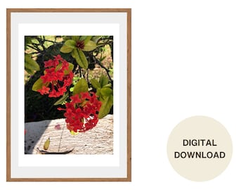 Costa Rica Red Flower Photography: Inspirational Wall Art Digital Download