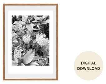 Dschungel Geranien Blumen Fotografie: Inspirierende Kunst