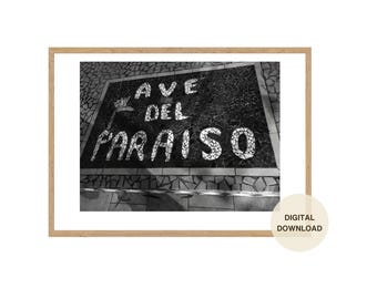 Hotel Ave Del Paraiso Zeichen Fotografie Wand Kunst Digital Download