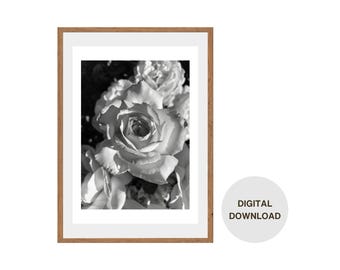 Schwarzweiss-Rosen-Digitale Wand-Kunst - eleganter Blumendruck für modernes Dekor