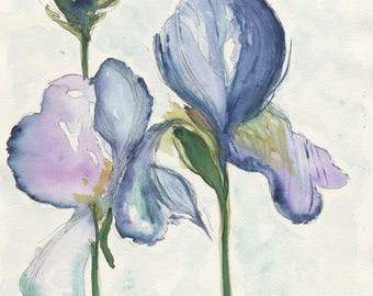 Obok Ciebie | Niebieski irys, akwarela, wydruk artystyczny | Botaniczna, kwiatowa sztuka ścienna