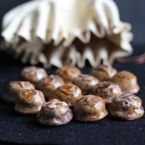 Może przedstawiać: Kolekcja małych, brązowych przedmiotów przypominających kamienie o zróżnicowanych wzorach powierzchni. Ułożone są na ciemnej powierzchni, z miękkim, kremowym woreczkiem w tle. Przedmioty wydają się być dekoracyjne lub kolekcjonerskie.