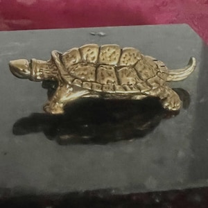 Brass Snapping Turtle Tea Pet (Tail-up)