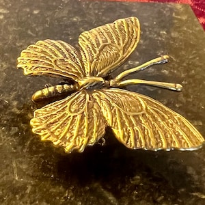 Brass Butterfly Tea Pet
