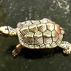 Brass Turtle Tea Pet (Tail Down)