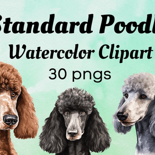 Standard Poodle Clipart - 30 High Quality PNGs - Watercolor Dog Portrait - Digital Download  -- Card Making, Digital Paper Craft, Clip art