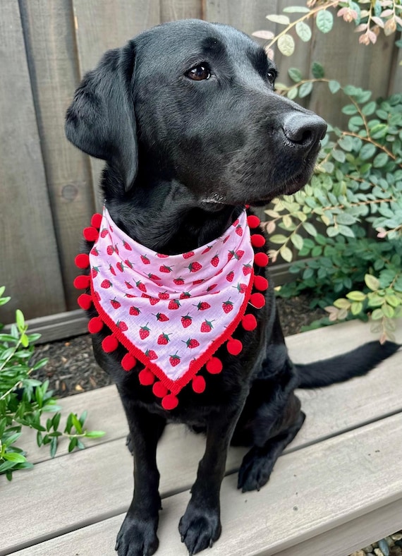 Strawberry With Red Pom Pom Trim Over the Collar Pet Bandana
