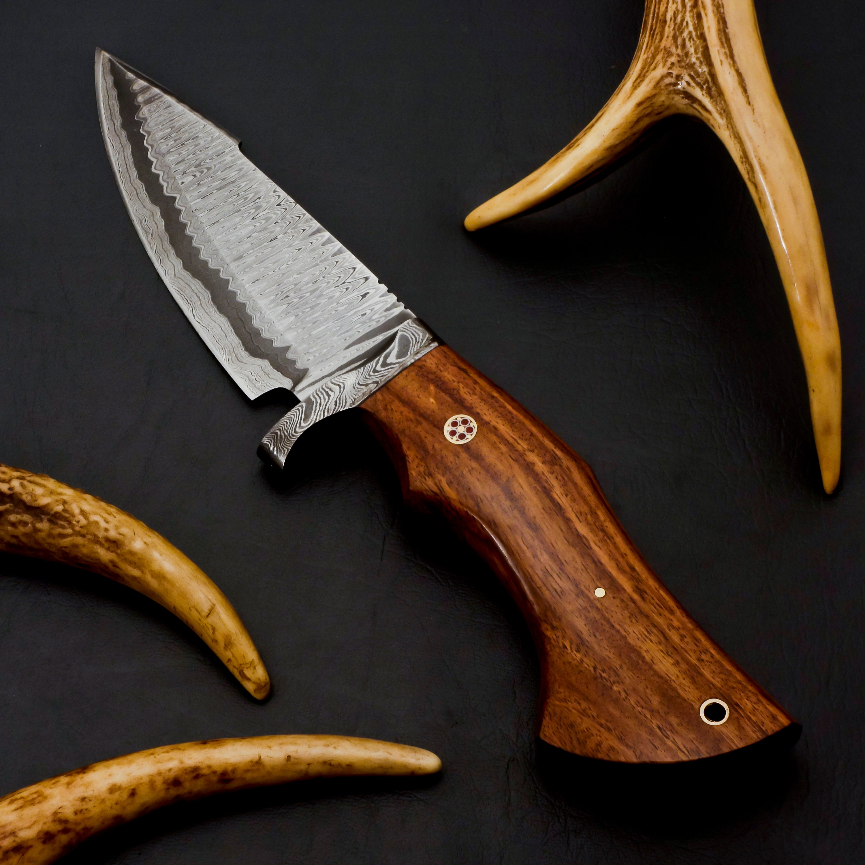 Exquisite Bobcat Knife with Damascus Steel Blade & Rosewood Handle main image 1