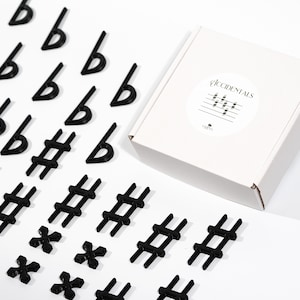 Puede incluir: Símbolos de notas musicales de plástico negro para sostenidos, bemoles y dobles sostenidos. Los símbolos están esparcidos sobre una superficie blanca. Una caja blanca con la palabra "Accidentals" impresa en ella está en el fondo.