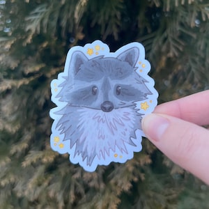 May include: A sticker of a cute cartoon raccoon with a gray and white fur pattern. The raccoon has a black nose and black eyes. The sticker has a white background with yellow stars around the raccoon.