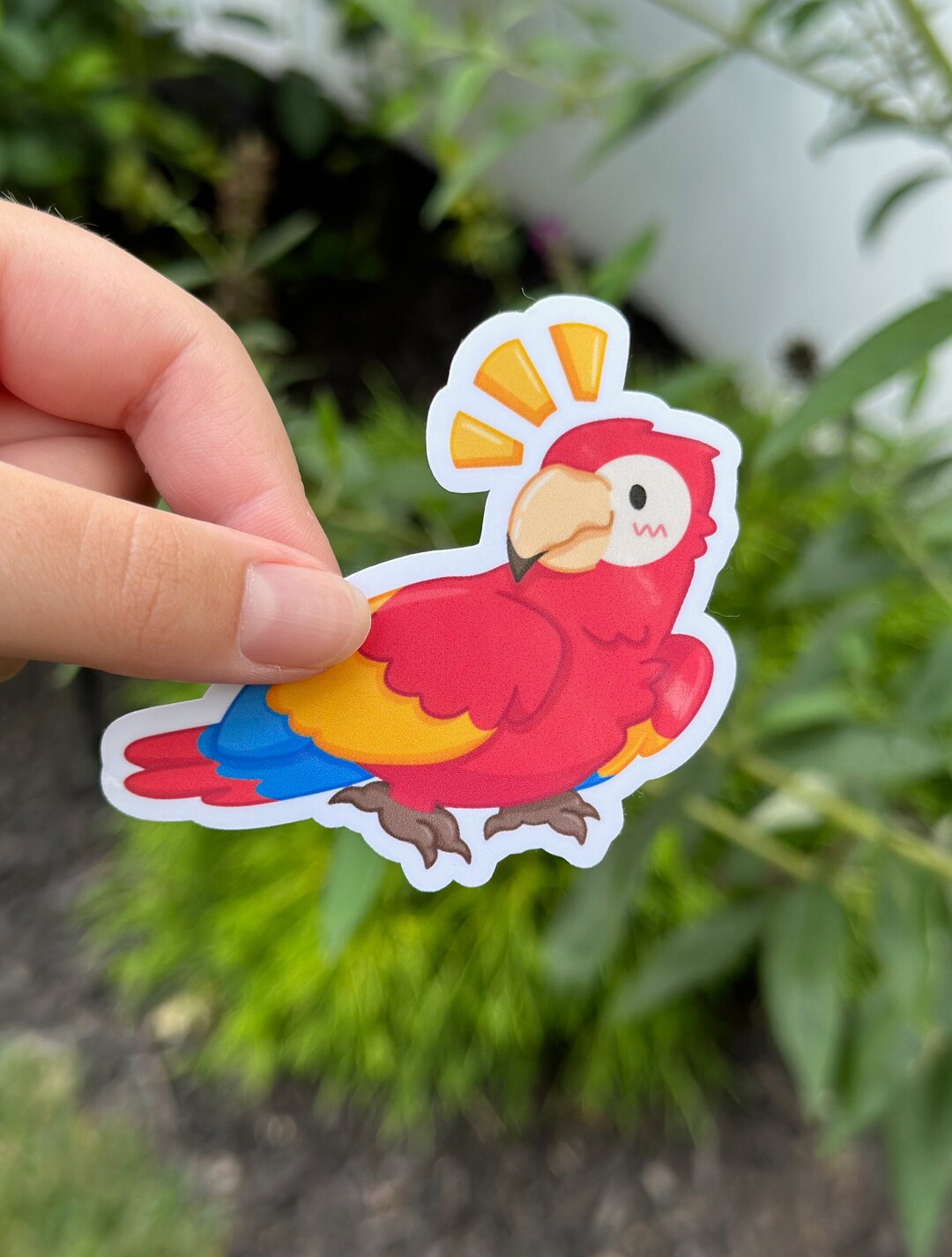 Parrot Sticker - Etsy