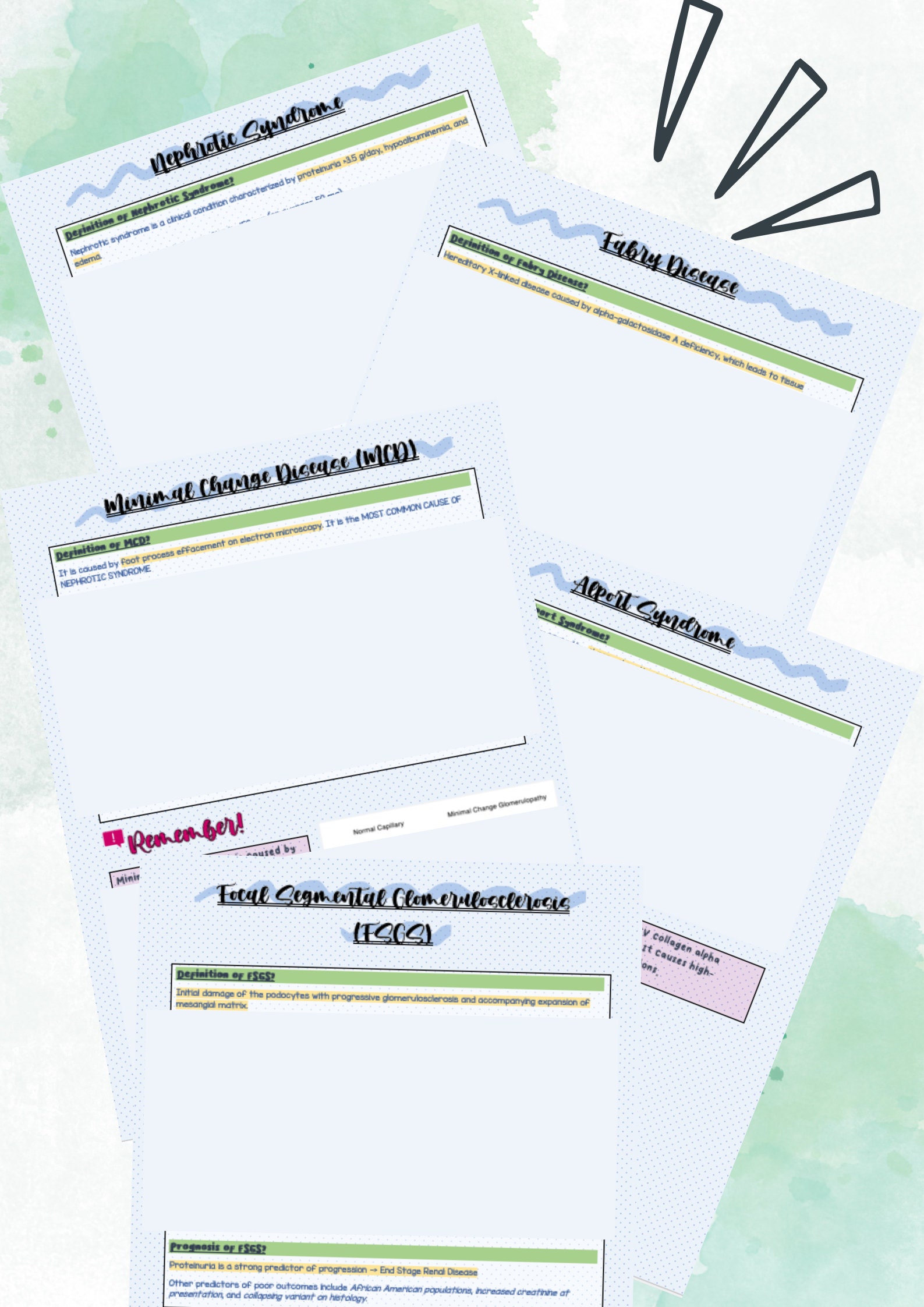 Nephrology Internal Medicine Notes Free Anki Flashcards Etsy