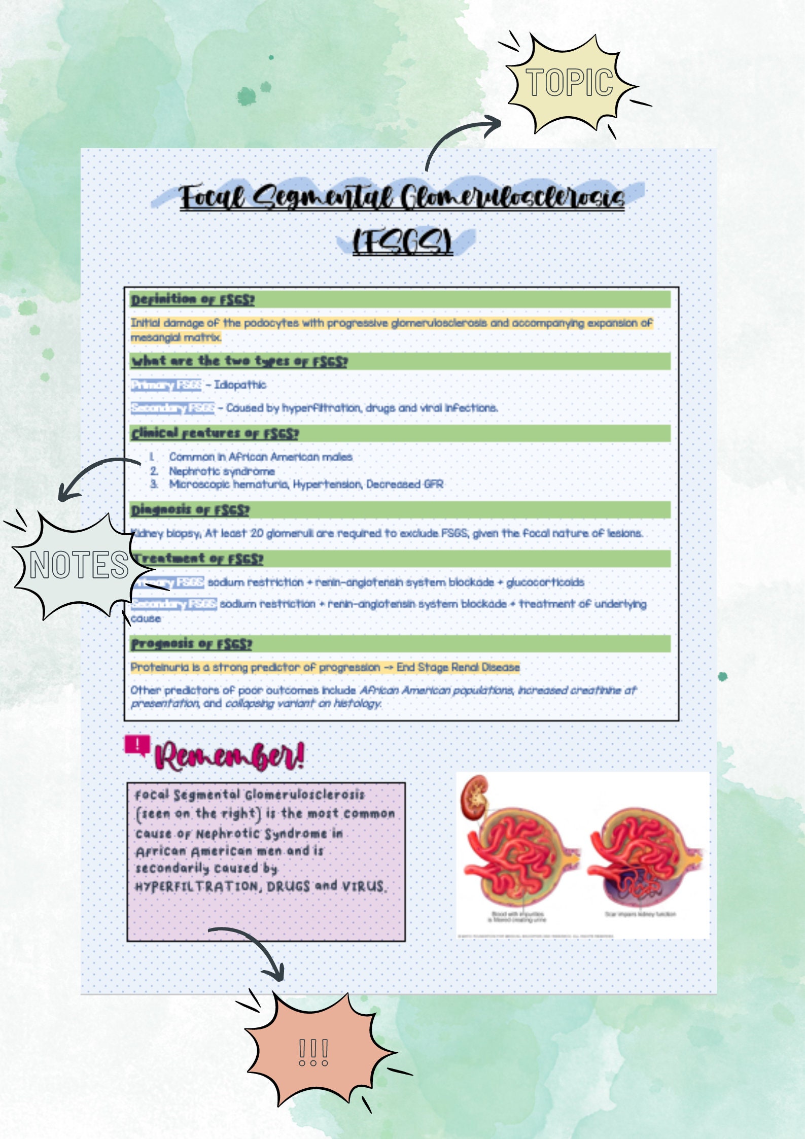 Nephrology Internal Medicine Notes Free Anki Flashcards Etsy