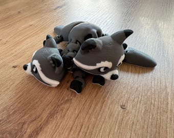 Flexi Raccoon - Flexible Raccoon