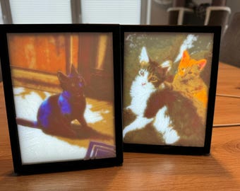 Custom Lithophane / Customer-Specific Lithophane