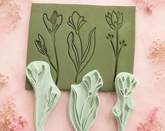 Botanische kleistempelset met krokus, tulp en protea.