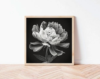 X-Ray Peony Art Print: Black and White Floral, Modern Wall Decor (Digital Download)