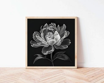 X-Ray Peonies | Digital Art Print | Black and White Floral Art