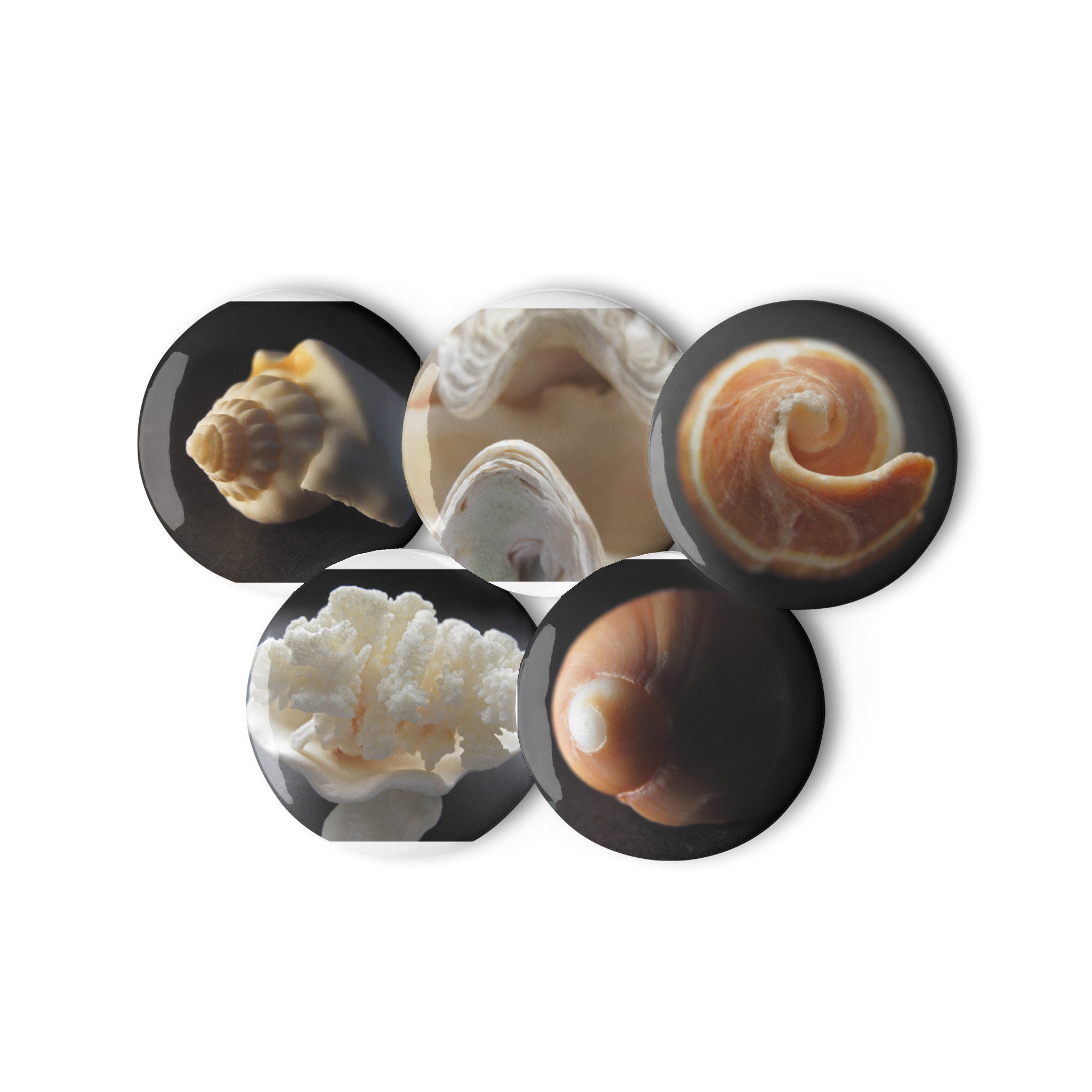 Set of 5 Custom Sea Shell Pin Buttons - Etsy