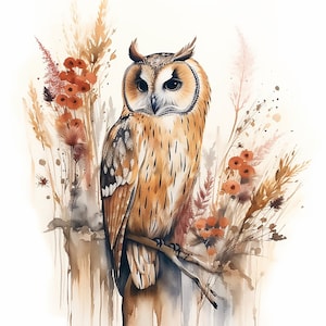 Watercolor Owl Clipart, Owl Clipart PNG, Printable Digital Download, Sublimation, Owl clipart, Nursery Art, Nature Scene, Boho Style