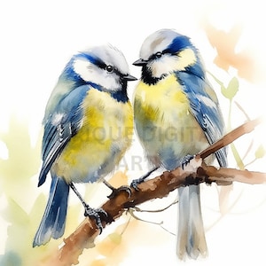 Bluetit Clipart, Clipart oiseau mignon, Illustration oiseau, oiseau PNG, pépinière Art, téléchargement numérique instantané, fabrication de cartes, oiseau imprimable