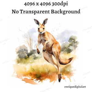 Aquarell Känguru Clipart, australische Tiere, Kartenherstellung, Papier basteln, digitaler Download, druckbare Kunst, Wandkunst, sofortiger Download