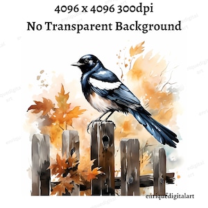 Aquarelle Magpie Clipart, Animal Clipart, Fabrication de cartes, Fabrication de papier, Téléchargement numérique, Art imprimable, Art mural, Téléchargement instantané, PNG