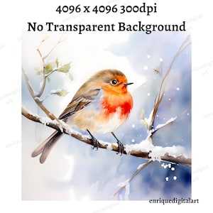 Aquarelle rouge-gorge clipart, clipart oiseau, fabrication de cartes, création de papier, téléchargement numérique, oeuvre d'art imprimable, art mural, téléchargement immédiat, Format PNG