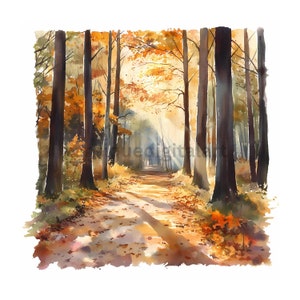 Acuarela de un tranquilo sendero forestal otoñal, paisajes naturales otoñales, imágenes de colores vivos, descarga digital, imágenes para hacer tarjetas, JPG de alta calidad