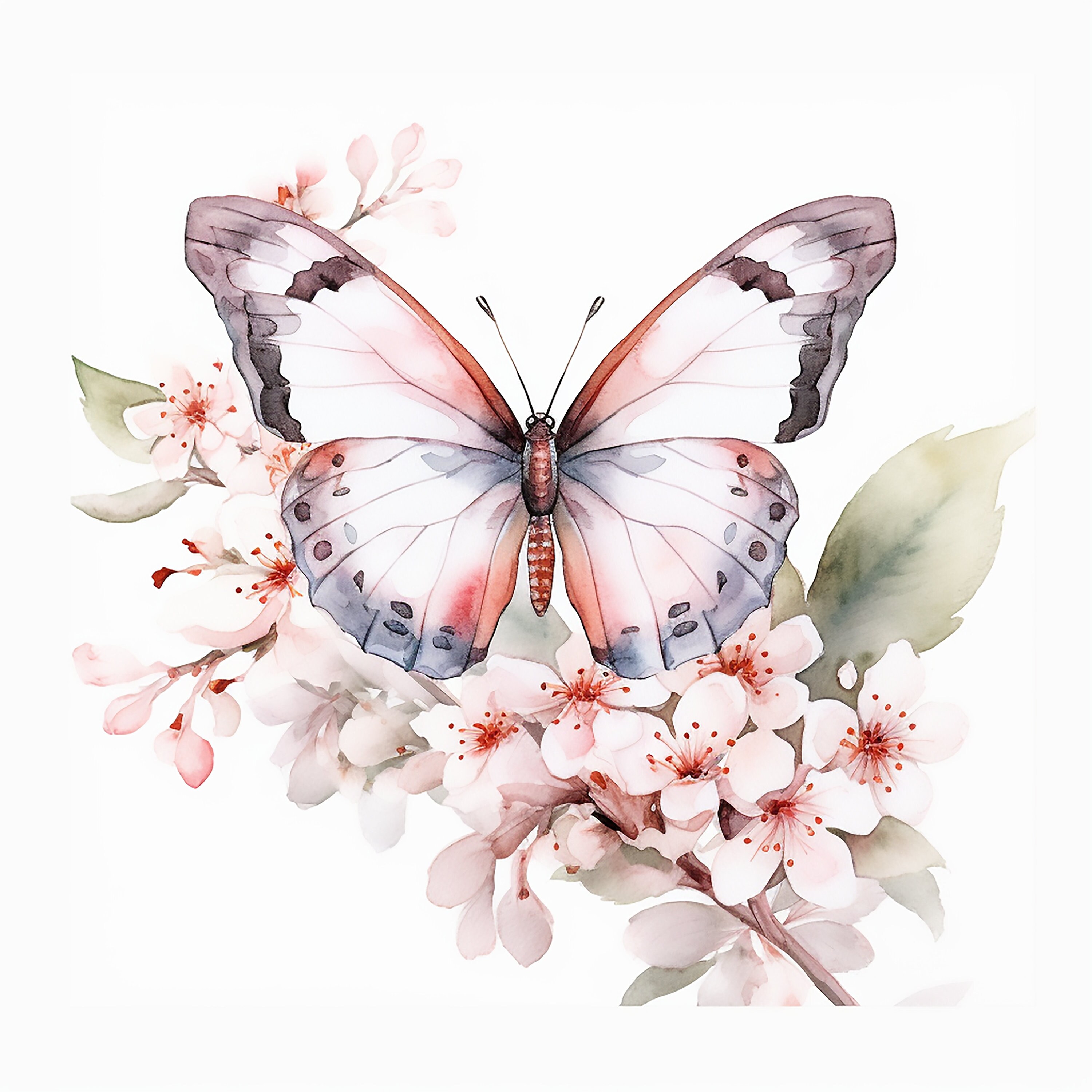 Watercolor Butterfly PNG Clipart Digital Download Printable - Etsy