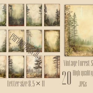 Clipart forêt aquarelle, pages de carnet de voyage aquarelle, fond de forêt, papier de journal imprimable, arbres aquarelles, thème forêt, JPG