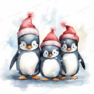 Acuarela Invierno Navidad Pingüinos Clipart, Descarga Digital, Lindo PNG, Descarga Digital, Scrapbooking, Fabricación de Tarjetas, Elaboración de Papel