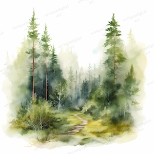 Clipart foresta acquerello, clipart alberi di pino, sentiero nel bosco, paesaggio, stampe digitali, arte della parete, creazione di carta, scrapbooking, download digitale