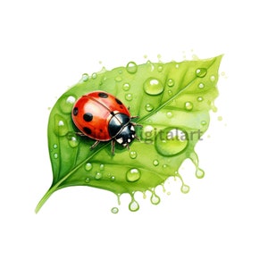Aquarelle de coccinelle sur une feuille des cliparts, fabrication de cartes, Images de scrapbooking, Images de journalisation, téléchargement numérique, Clipart imprimable, Transparent