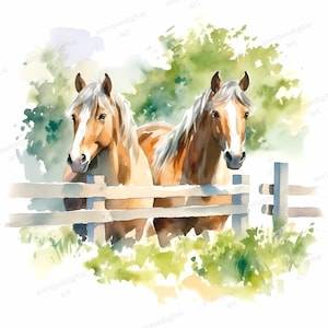 Watercolor Horse Clipart, Animal Clipart, Horse Images, Horse Printable Art, Horse Painting, Wall Art, Commercial Use, Digital Download
