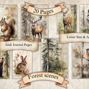 Páginas para impressão de floresta em aquarela Diário lixo, papel de diário lixo, animais da floresta, cenário florestal, paisagem florestal, páginas de diário lixo