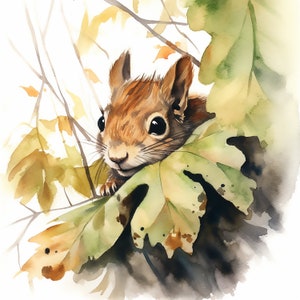 Aquarelle mignon écureuil Clipart, écureuil PNG, téléchargement numérique, Art imprimable, téléchargement immédiat, pépinière Art, écureuil cadeau amateur