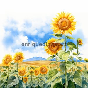 Aquarelle tournesol paysage Clipart, clipart Rolling Hills, format PNG, téléchargement numérique, scrapbooking, créations en papier, fabrication de cartes