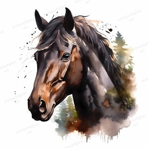 Watercolor Horse Clipart, Animal Clipart, Horse Images, Horse Printable Art, Horse Painting, Wall Art, Commercial Use, Digital Download