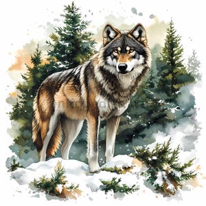 Images de loup des bois, clipart aquarelle, clipart pour les amateurs de la forêt, téléchargement numérique, Images de fabrication de cartes, Clipart Animal, paysage Nature