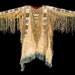 Buffalo Powwow 42 Inch Cotton Poplin Pre Order