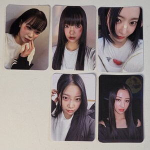 Le sserafim Bloody Rose Photocards