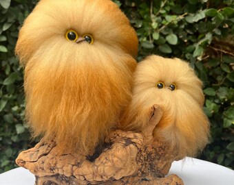 Wooly Whooo Owls by Sandy Finch-Sheep's Wool Owls on Manzanita Wood