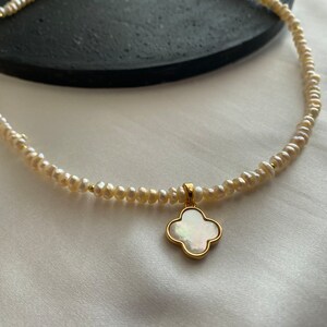 elegante collar de perlas