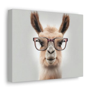 Cute Llamas Canvas Wall Art Print, Animal Wall Art, Goofy Llama with Glasses Canvas Wall Art