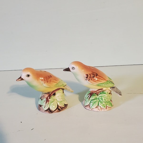 Bird Salt and Pepper Shakers Etsy
