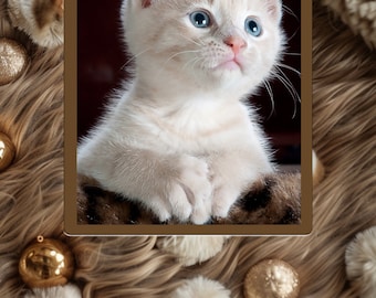 Digitale fotomat mat PNG-bestand voor 5 x 7 foto - kattenspeelgoed op kattenbont. Afdrukbaar. Aanpasbaar.