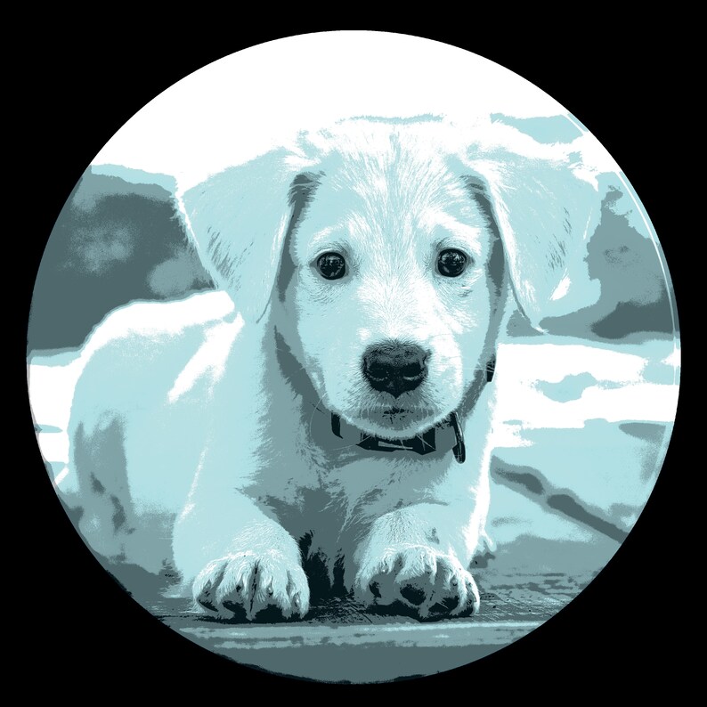 Cachorro en un círculo DIY png svg descarga imprimible fondo - Etsy México